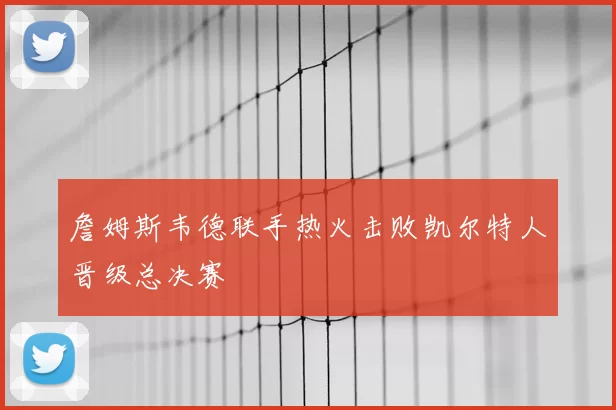 詹姆斯韦德联手热火击败凯尔特人晋级总决赛